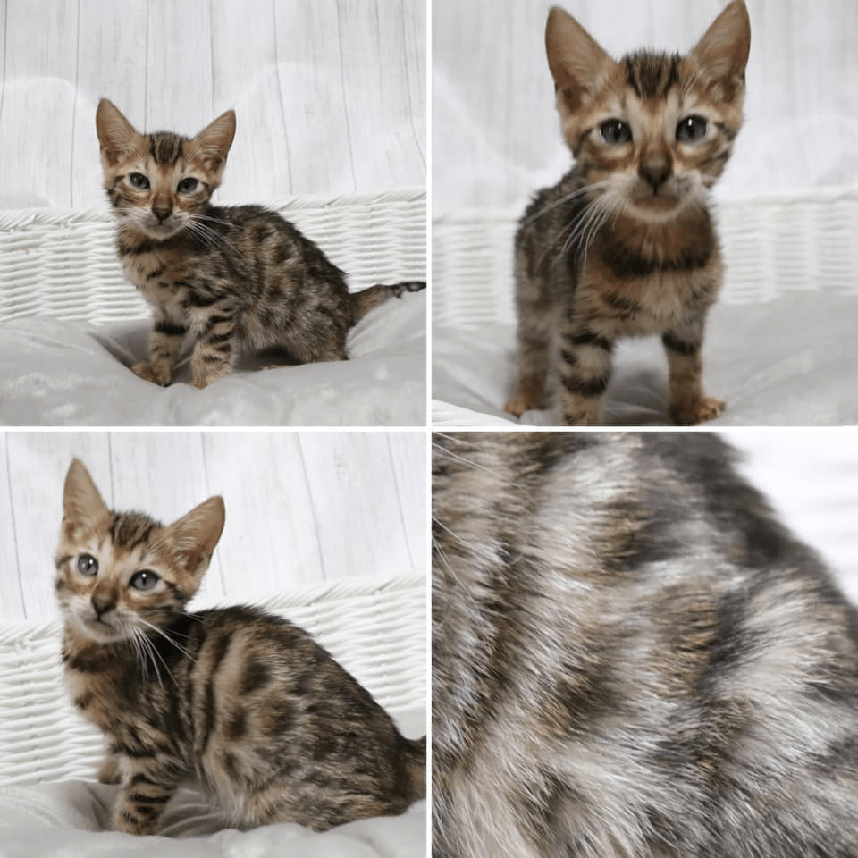 67444491_10219762787085804_5225423010936127488_n