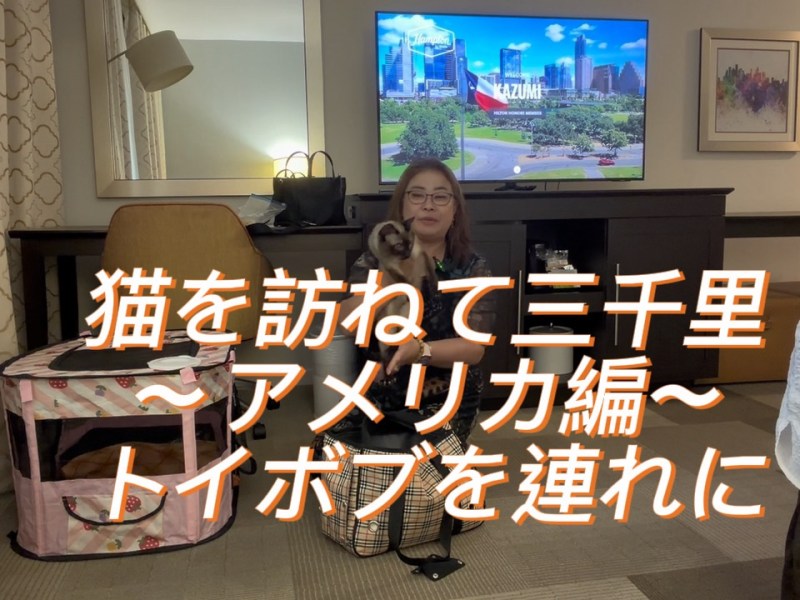 アメリカ🇺🇸からトイボブを連れて来ました。