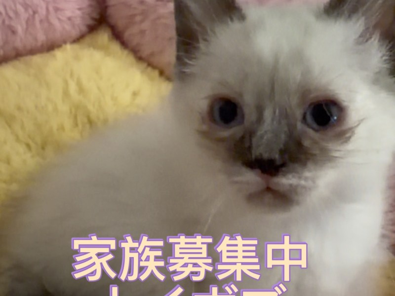 家族募集中