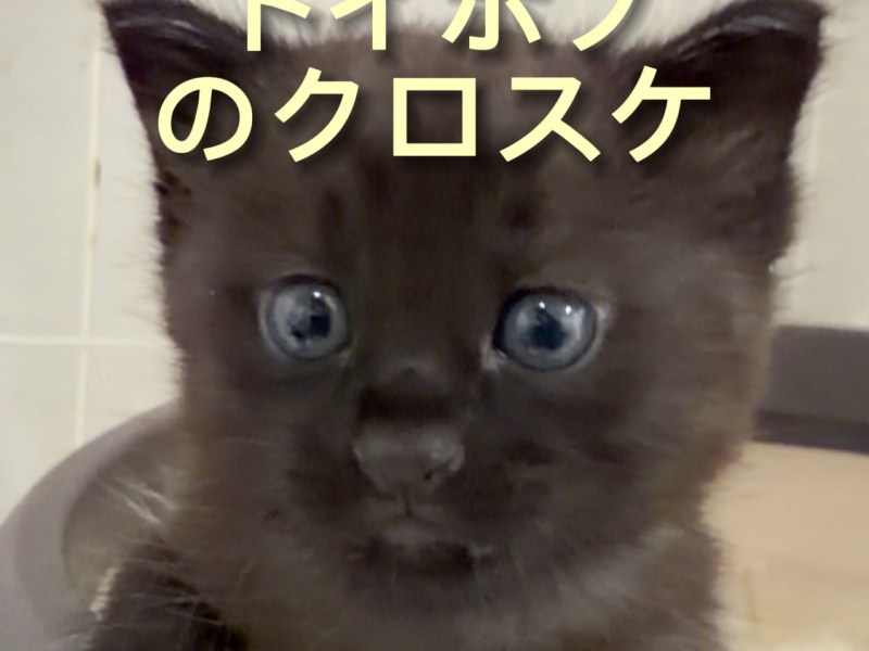 トイボブのクロスケトイレ行った