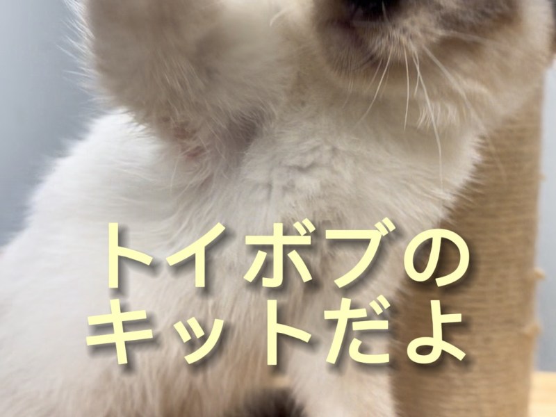 家族募集中